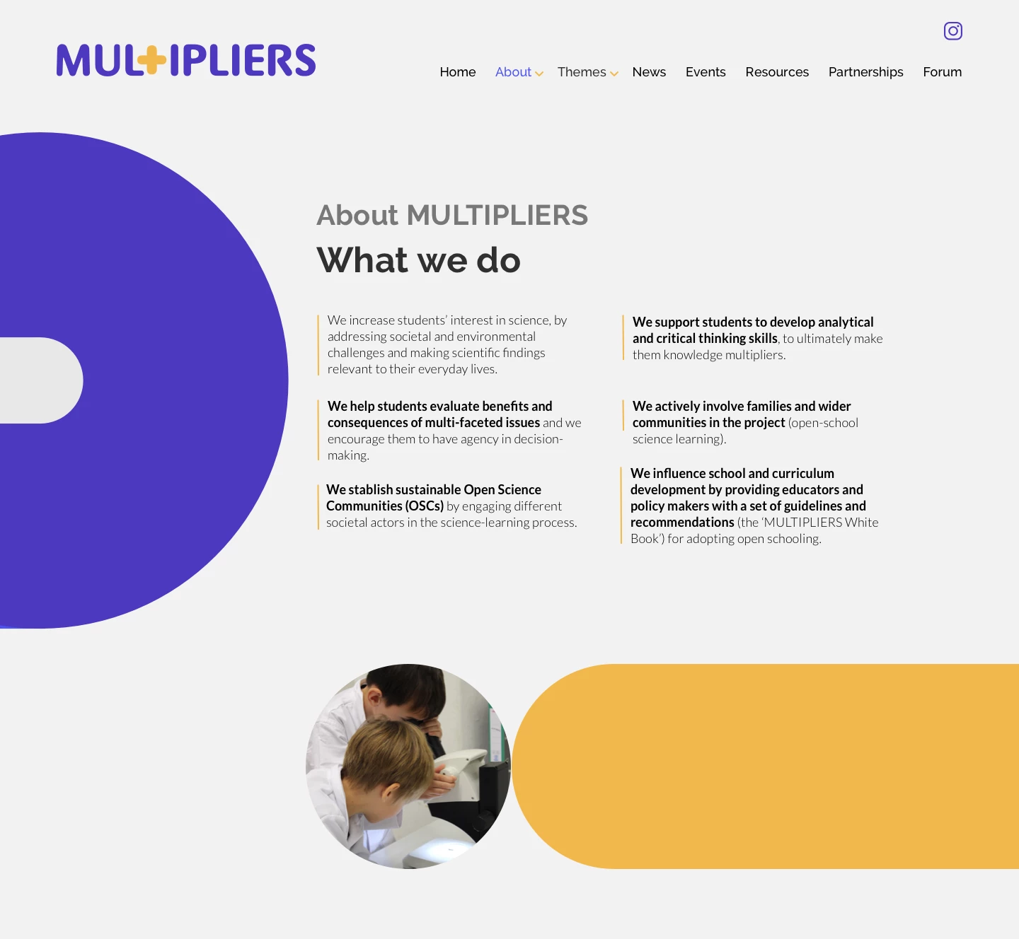 web Multipliers pàgina interior